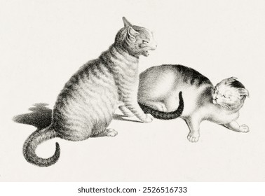 Illustration of two domestic cats playfully fighting by Gottfried Mind. Vintage drawing animal illustration. Vintage two domestic cats playfully art print. Sketch of cat illustration - Powered by Shutterstock