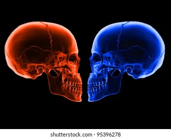 Illustration Of Two Loving Skulls In X Ray Vision