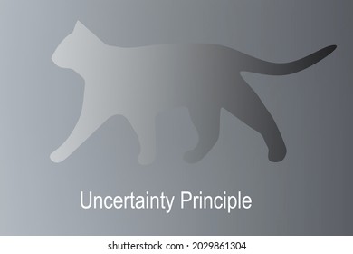 Illustration Of Uncertainty Principle Script Bellow A Fading Cat, Resmbling Schrodinger Cat. 
