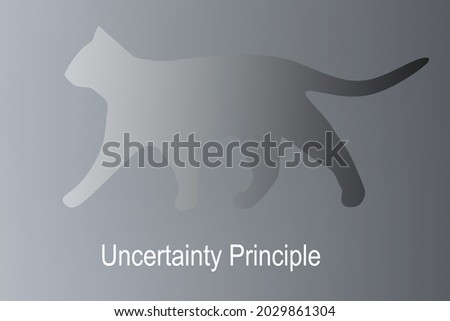 Illustration of Uncertainty Principle script bellow a fading cat, resmbling Schrodinger cat. 