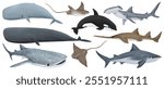 Illustration of various sea creatures: whales, sharks, and rays. Features a diverse collection of marine animals, including whales, sharks, and rays. Marine life illustrations isolated on white.