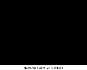 illustration, vector, plain black background with 4:3 aspect ratio