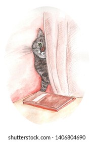 illustration watercolor cat behind the curtain