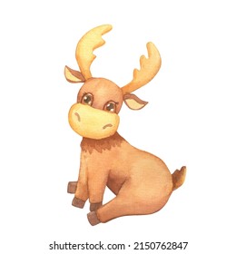 Illustration Of Watercolor Cute Sitting Moose. Hand Drawn Character Forest Animal Isolated On White Background. Woodland Illustration