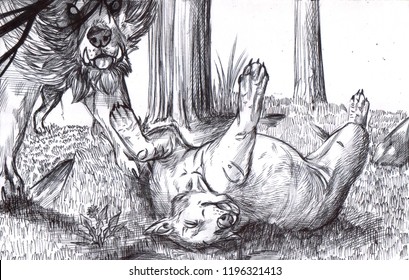 Illustration Of A Wolf Rolling On His Back With Tongue Out While A Werewolf Is Watching