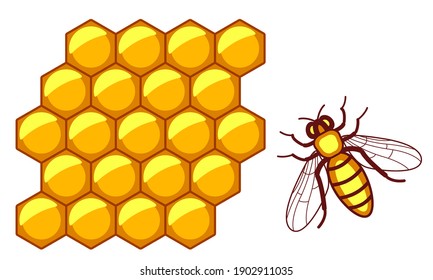 Illustration of the worker bee and honeycomb