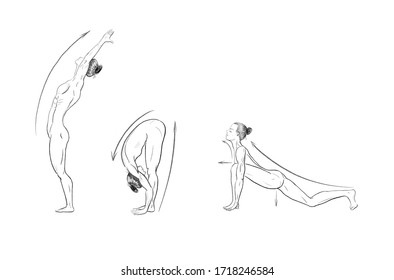 Illustration of the yoga poses (asanas) - Shutterstock ID 1718246584