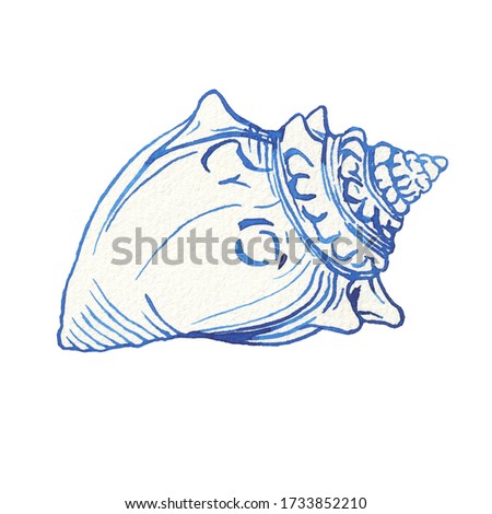 Illustrations of underwater life objects - blue sea shell, marine design. Watercolor hand drawn painting illustration isolated on white background.