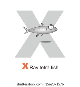 Ilustration Of Animal Alphabet. X For X Ray Tetra Fish