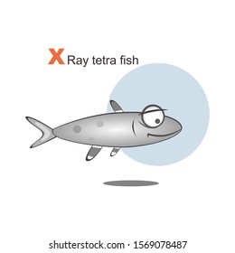 Ilustration Of Animal Alphabet.X For X Ray Tetra Fish