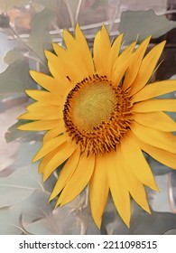 Ilustration Sun Flowers , Wallpaper, Baground, Nature Wonderfull Garden