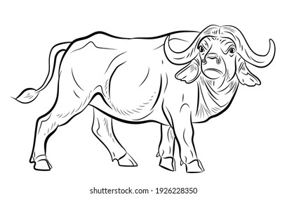 Vector Drawing On Notebook Sheet Bulldog Stock Vector (Royalty Free ...