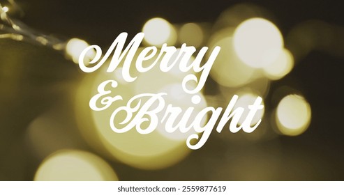 Image of christmas greetings text over out of focus fairy lights. Christmas, festivity, tradition and celebration concept digitally generated image. - Powered by Shutterstock