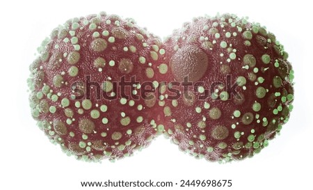The image depicts a 3D rendering of two connected cells undergoing division, with numerous green protrusions indicating a disorder in the cell division process.