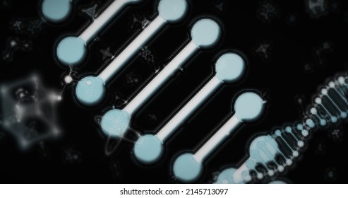 Image Of Digital 3d Blue And White Double Helix DNA Strands Spinning And Molecules Atoms Moving On Black Background. Medicine Science Genetics Concept Digitally Generated Image. 4k