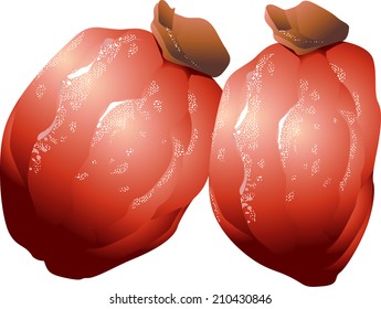An Image of Dried Persimmon