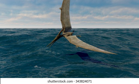 The image of a flying dinosaur pteranodon