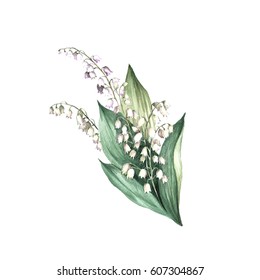 The Image Of A Lily Of The Valley.Hand Draw Watercolor Illustration