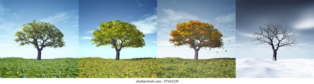 15,766,302 Season Tree Images, Stock Photos, 3D objects, & Vectors ...