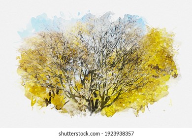 Image Oy Yellow Tree Beauty Good Tp Print On Canvas 