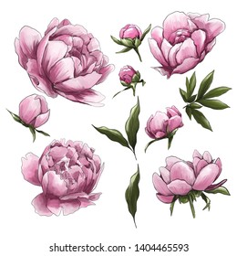 The image of pink peonies for invitations, decor, cards, wedding printing