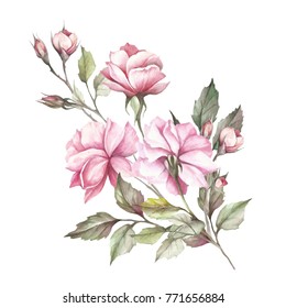 Floral Illustrationwatercolor Flowers Black Line Art Stock Illustration ...