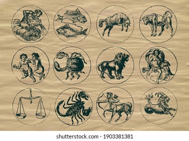 Zodiacal Symbols Vector Illustration Astrology Horoscope Stock Vector ...