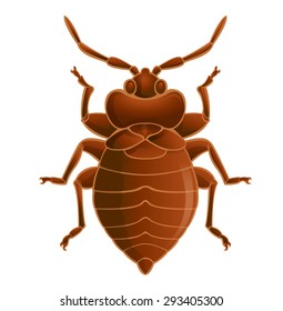 Image Of Simbol Of  Brown Bedbug