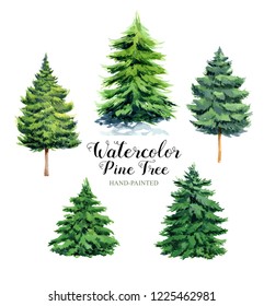 Image watercolor forest pine trees brush for Christmas and Happy New Year.