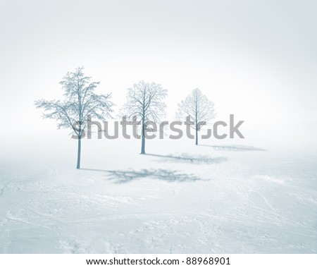 Similar – Image, Stock Photo Sunny winter spot