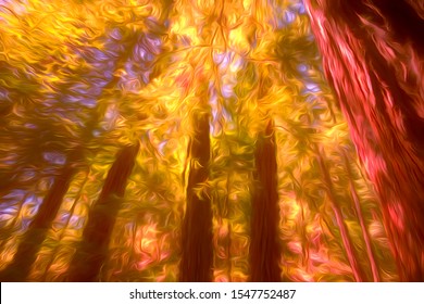 Imaginary Abstract Of Mature California Coastal Redwood Trees On Fire, With Digital Painting Effects, For Background Or Illustration With Themes Of Accidents, Nightmares, The Environment