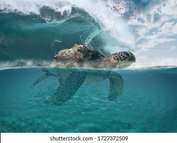 Imaginary Fictional Dreamy Sea Landscape With A Sea Turtle Getting Castelsardo Town To Safety. Big Tzunamy Wave. Underwater Scene. Visionary Place Background With Copy Space, 3d Illustration