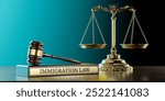 Immigration Law: Judge