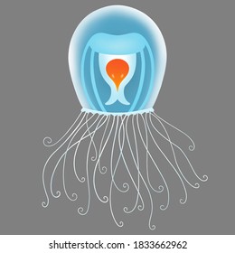 Immortal Jellyfish Sea Creature Illustration Isolated On Gray