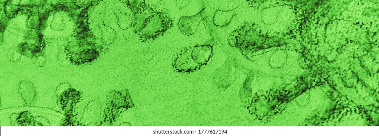 Immune Response. Lime Corona Virus. Mint Cancer Immunity. Cancer Stem Cell. Green Virus Medicine. Oncology Image. White Cancer T Cells.