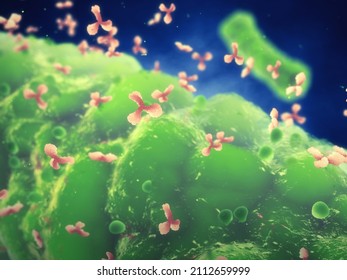 Immune System Fighting Off Infectious Disease. Antibodies Neutralize Or Destroy Bacteria And Viruses. 3d Illustration Of Antibodies Attaching To Pathogenic Bacteria. 