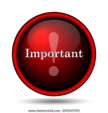 Important icon. Internet button on white background. 