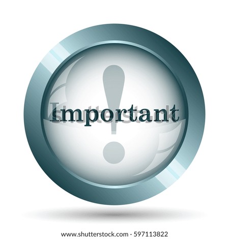Important icon. Internet button on white background. 