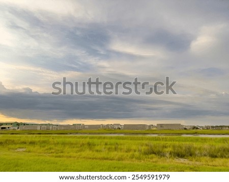 Similar – Image, Stock Photo An impressionistic view of sunflowers under a stormy sky, blending vivid yellows and moody blues