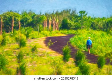 Impressionistic View Of A Solitary Senior Man Hiking Along A Wide Trail Of Recycled Rubber (shredded Tires) In A Coastal Nature Preserve In Southwest Florida. Digital Painting Effect, 3D Rendering.