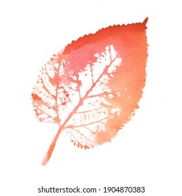 The imprint of the leaves. A leaf print. Objects isolated on white. Isolated objects on a white background. Watercolour autumn illustration.