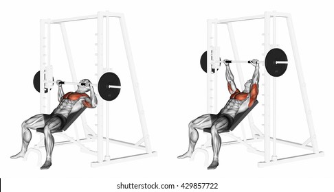 smith machine press chest