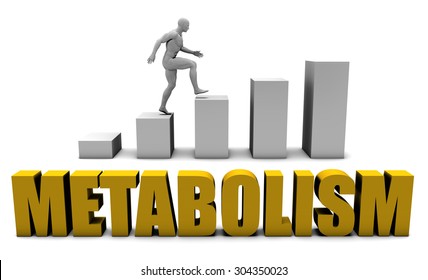 Increase Your Metabolism  Or Business Process As Concept
