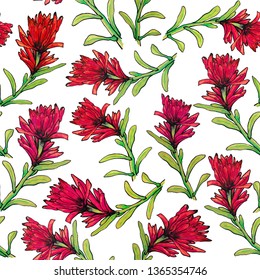 indian paintbrush flowers seamless pattern. Wildflower  in a marker style sketch.  marker wild flower for background, texture