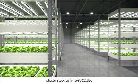 1,436 Hydroponics rack Images, Stock Photos & Vectors | Shutterstock