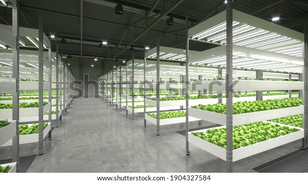 Indoor hydroponic vegetable plant factory in\
exhibition space warehouse. Interior of the farm hydroponics.\
Vegetables farm in hydroponics. Lettuce farm growing in greenhouse.\
Concrete floor. 3D\
render