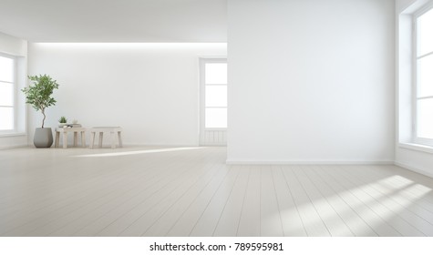 Indoor plant on wooden floor with white wall background in large room at modern new house for big family, Vintage window and door of empty hall or natural light studio -Home interior 3d illustration