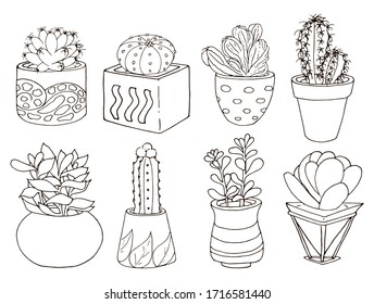 多肉植物 のイラスト素材 画像 ベクター画像 Shutterstock