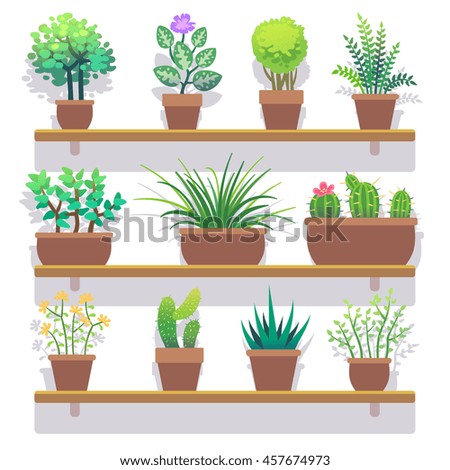 Similar – Image, Stock Photo cactus plants in greenhouse interior