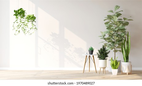 Indoor Tropical House Plants. 3D Render Of Variety Of Easy Care Tropical Plants In The Room With Morning Sun Light. Background, Natural Air Purify, Home Decoration, Activity During COVID 19, Concept.